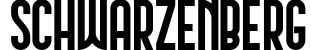 Schwarzenberg
