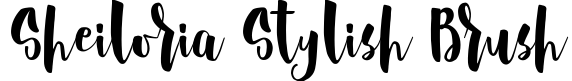 Sheiloria Stylish Brush