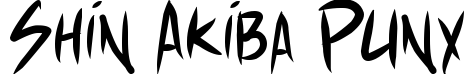 Shin Akiba Punx