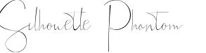 Silhouette Phantom