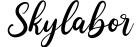 Skylabor