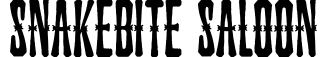 Snakebite Saloon