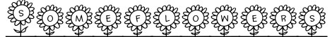 Someflowers