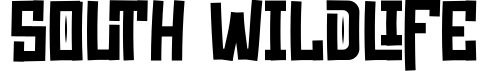 South Wildlife