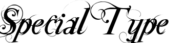 Special Type