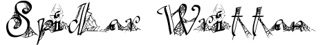 Spider Written