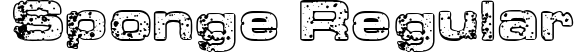 Sponge Regular