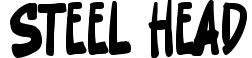 Steel Head