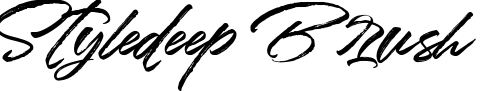 Styledeep Brush