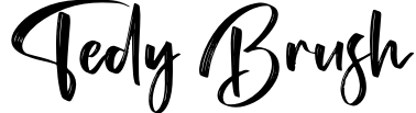 Tedy Brush