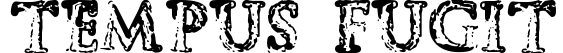 Tempus Fugit