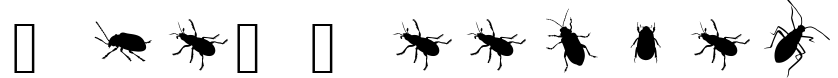 The Beetles