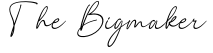 The Bigmaker