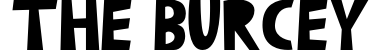 The Burcey
