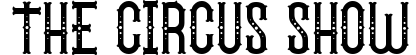 The Circus Show