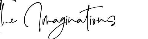 The Imaginations