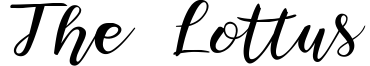 The Lottus