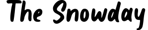 The Snowday