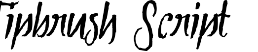 Tipbrush Script