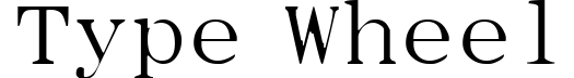 Type Wheel