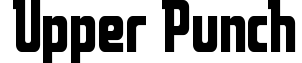 Upper Punch