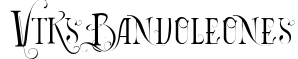 Vtks Bandoleones