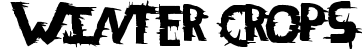 Winter Crops