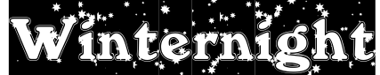 WinterNight