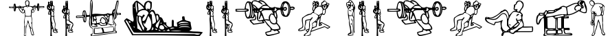 Workout Routine