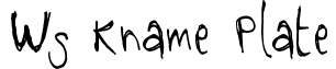 WS Kname Plate