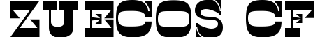 Zuecos CF