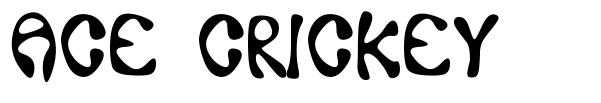 Ace Crickey font