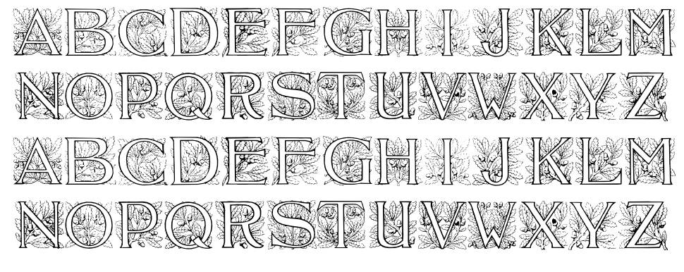 Acorn Initials 字形 标本