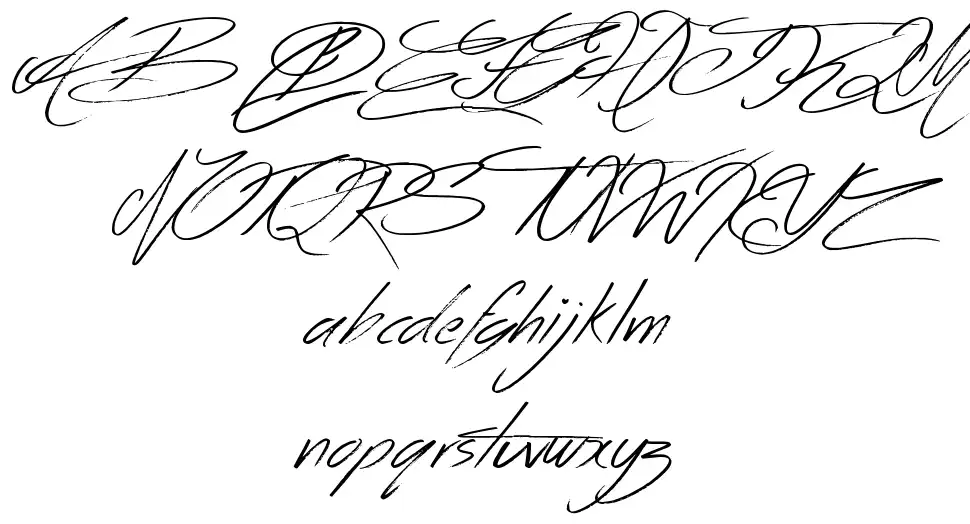 Across the Roadfont specimens