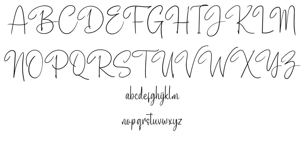 Adigussto 字形 标本