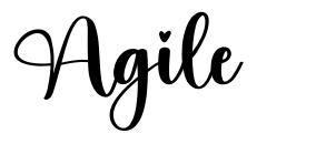 Agile font