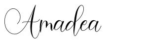 Amadea шрифт