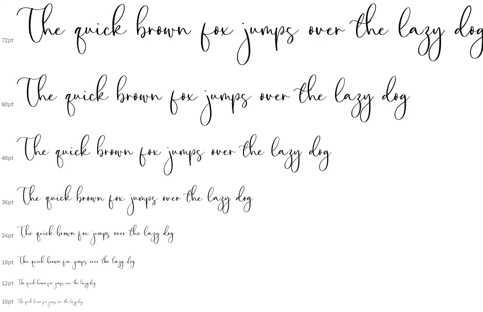Amalia Salvatore font by Balpirick Studio FontRiver