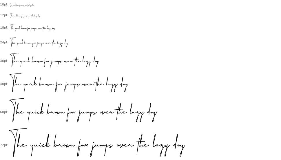 Amillia Signature font Şelale