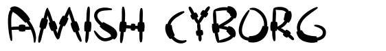 Amish Cyborg font