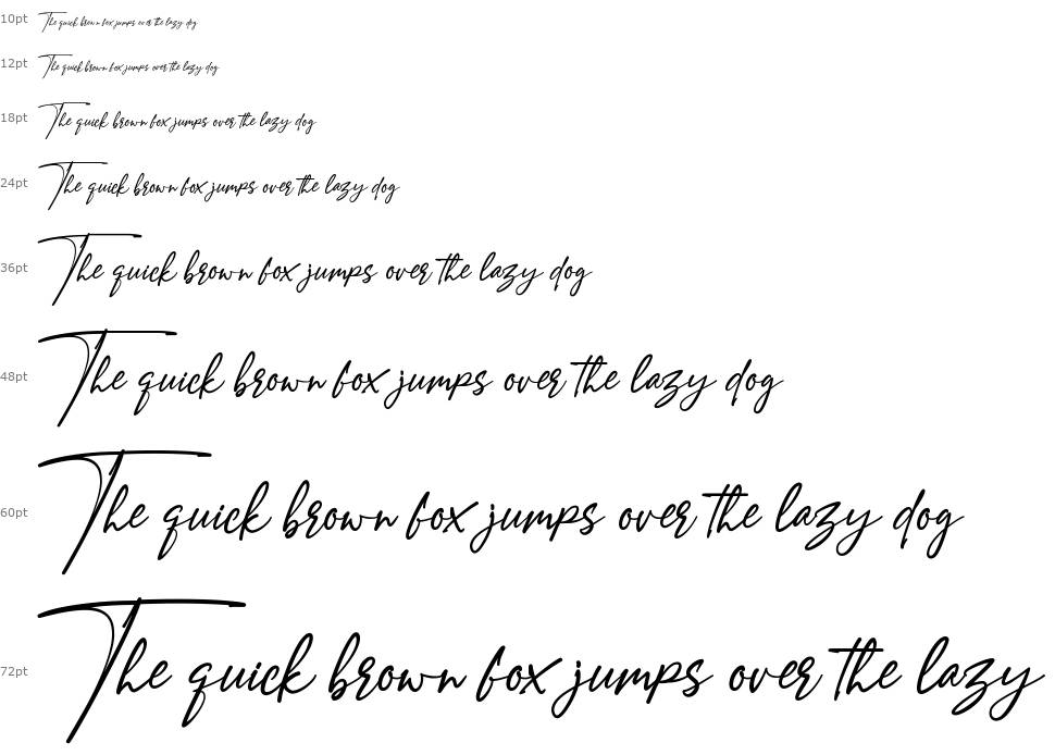 Amostely Signature font Waterfall