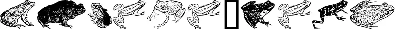 AmphibiPrint