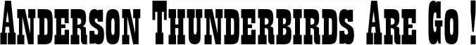 Anderson Thunderbirds Are Go !