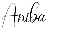 Aniba font