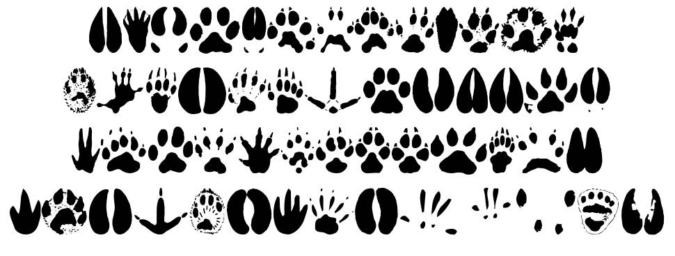 Animal Tracks font specimens