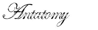 Antatomy font