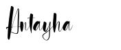 Antayha шрифт