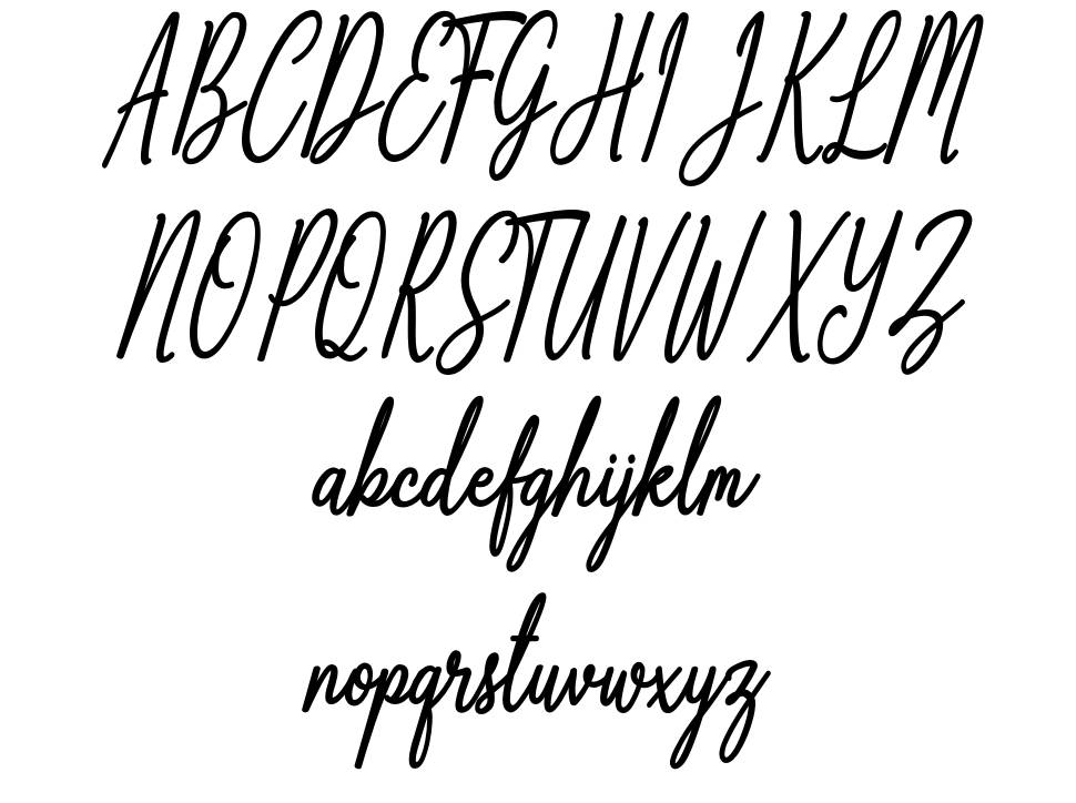 Anthoine 字形 标本