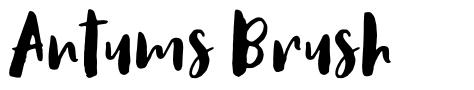 Antums Brush 字形