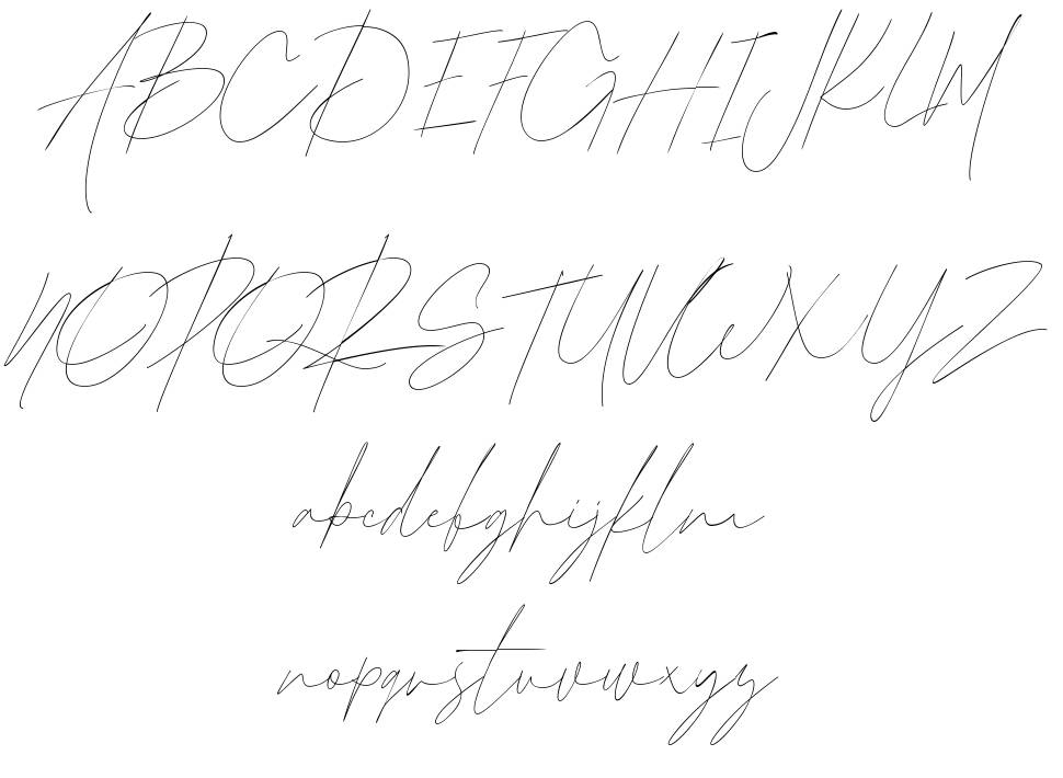 Arabilla Signature 字形 标本